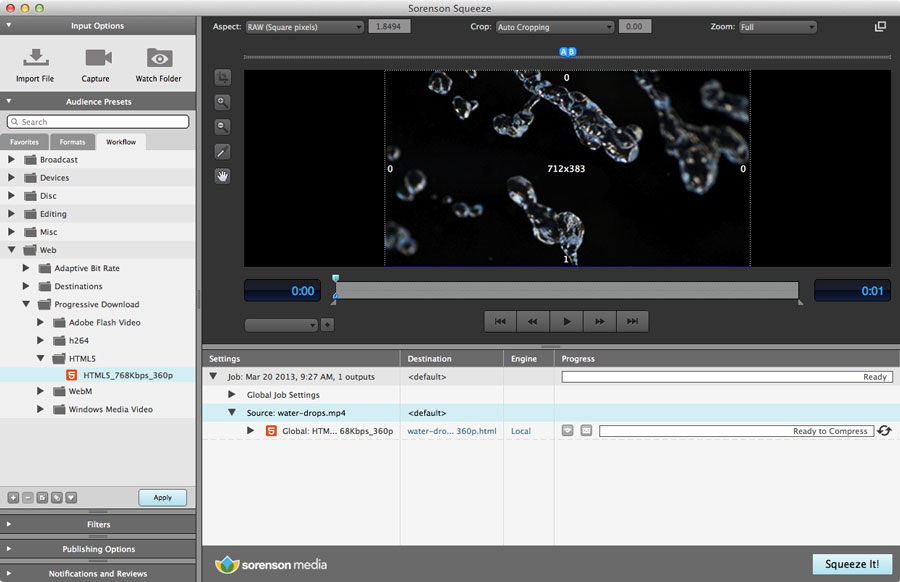 How to Use Sorenson Squeeze for Professional Video