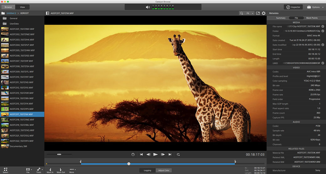 ingest video for mac